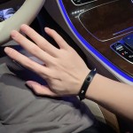 Louis Vuitton Bracelet